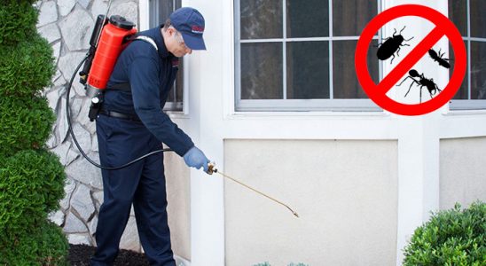 Çamdibi Gümüşkurt İlaçlama böcek ilaçlama ve haşere kontrolü — ilaclama-tr.com